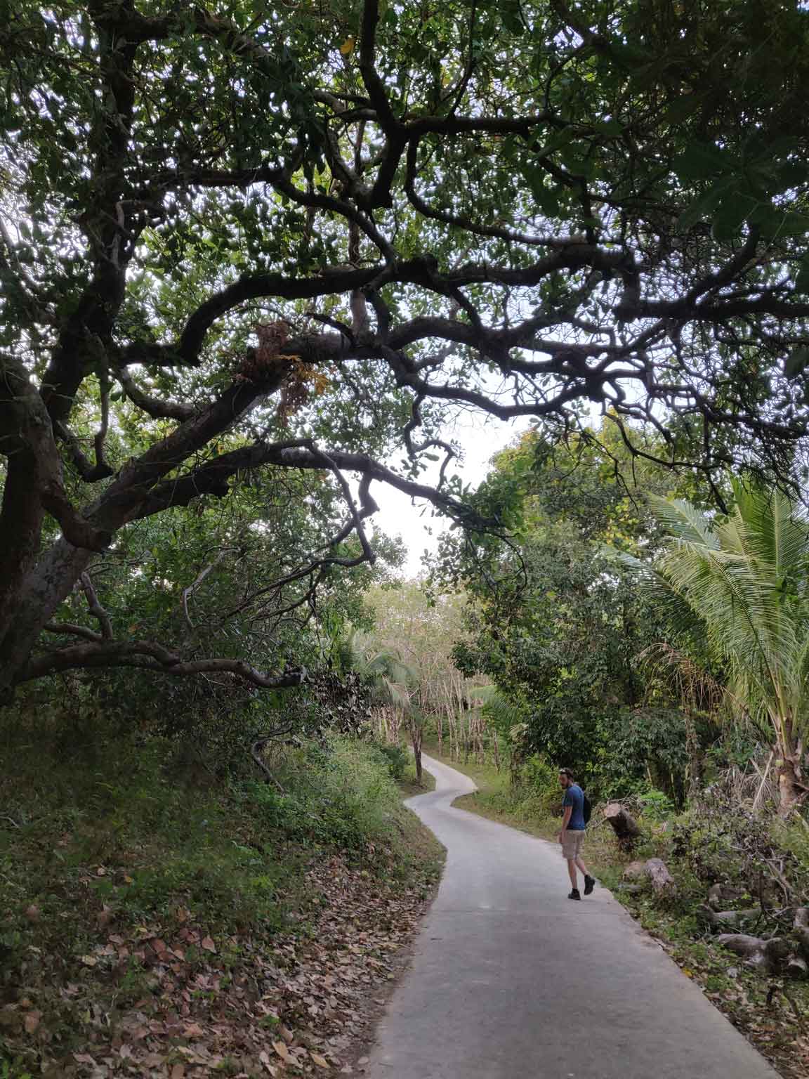 Balade de retour de Long Beach