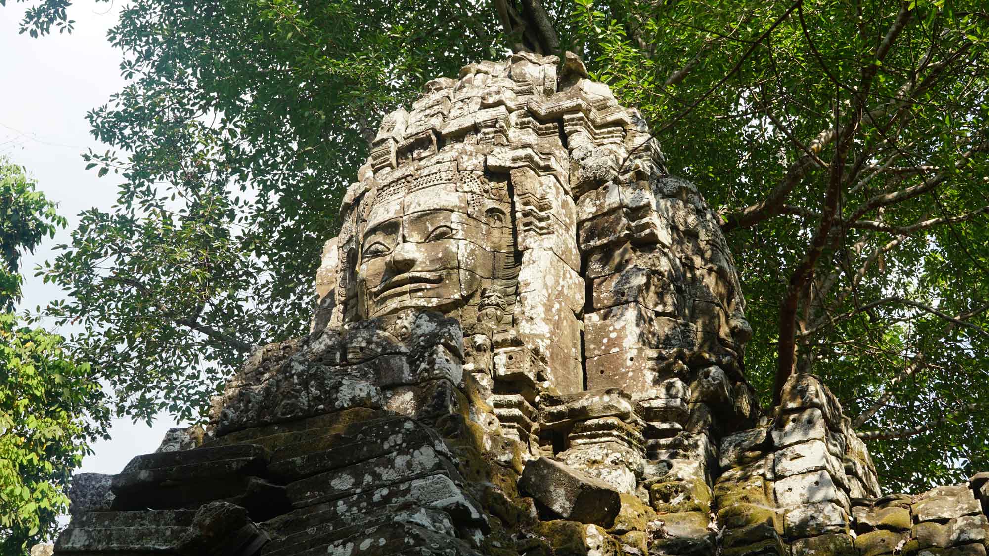 Porte du temple Ta Som envahie par un arbre