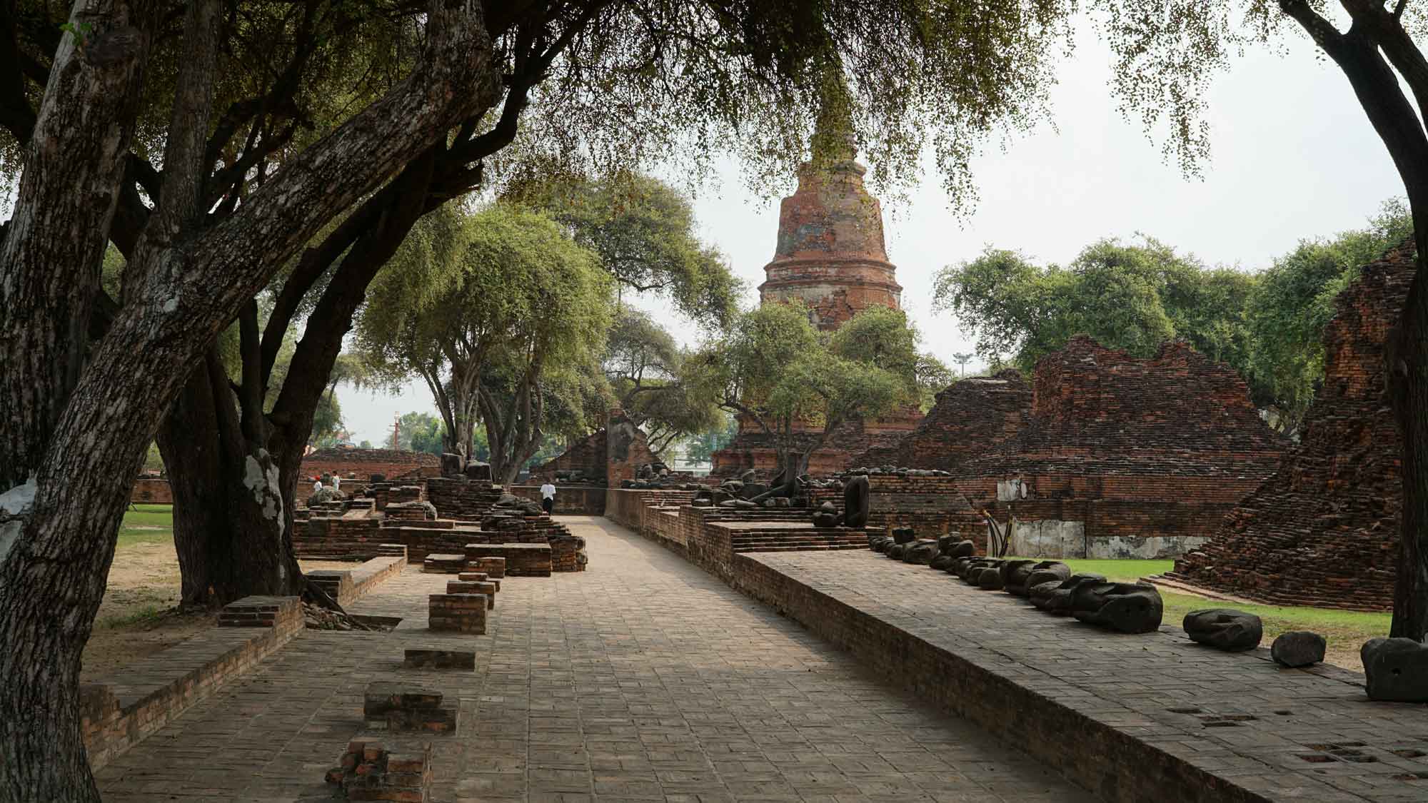 Tête de Bouddha dans les racines d'arbre à Ayutthaya