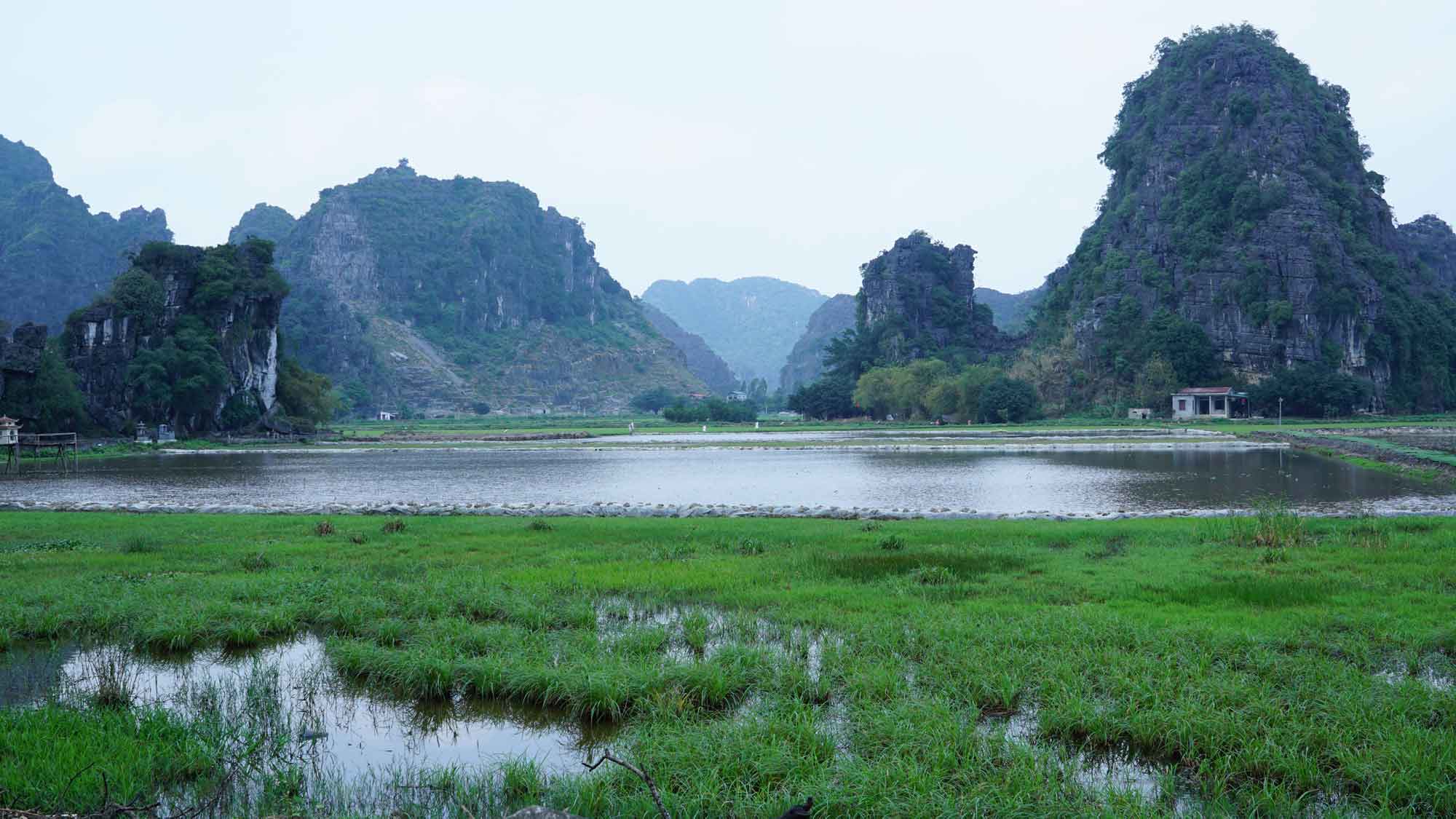 Paysage karstique de Ninh Binh avec rivières et formations rocheuses