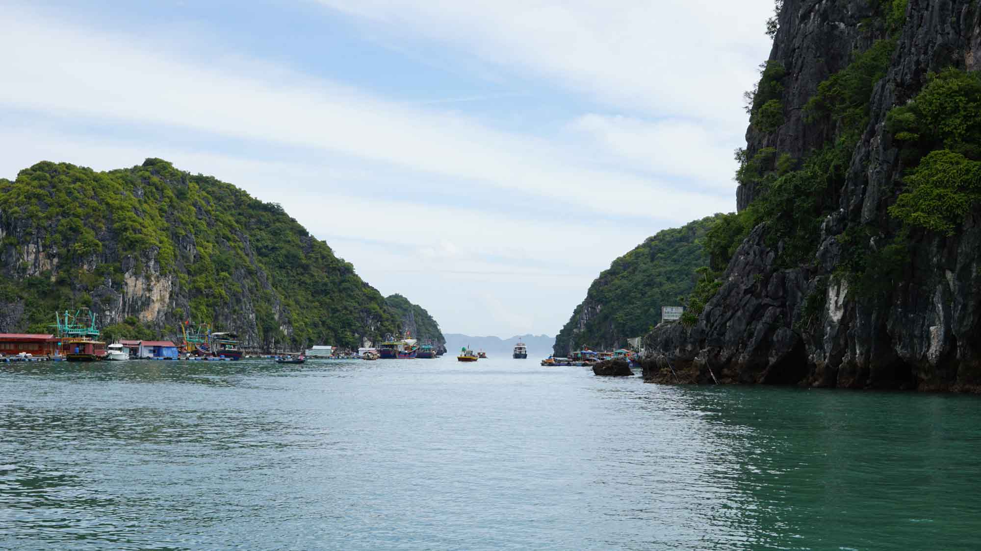 Formations karstiques émergeant des eaux turquoise de la baie d'Ha Long
