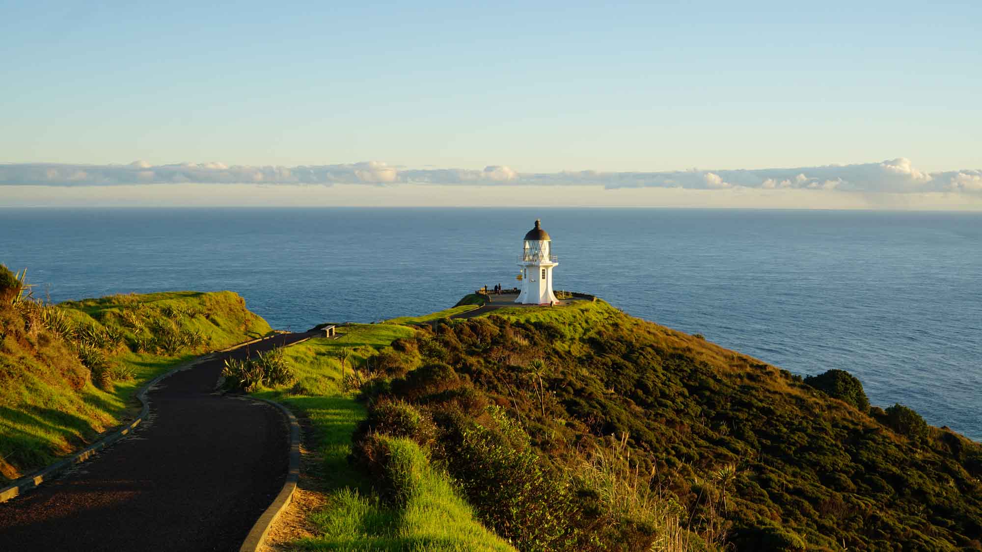 Découverte du Northland néo-zélandais en voiture